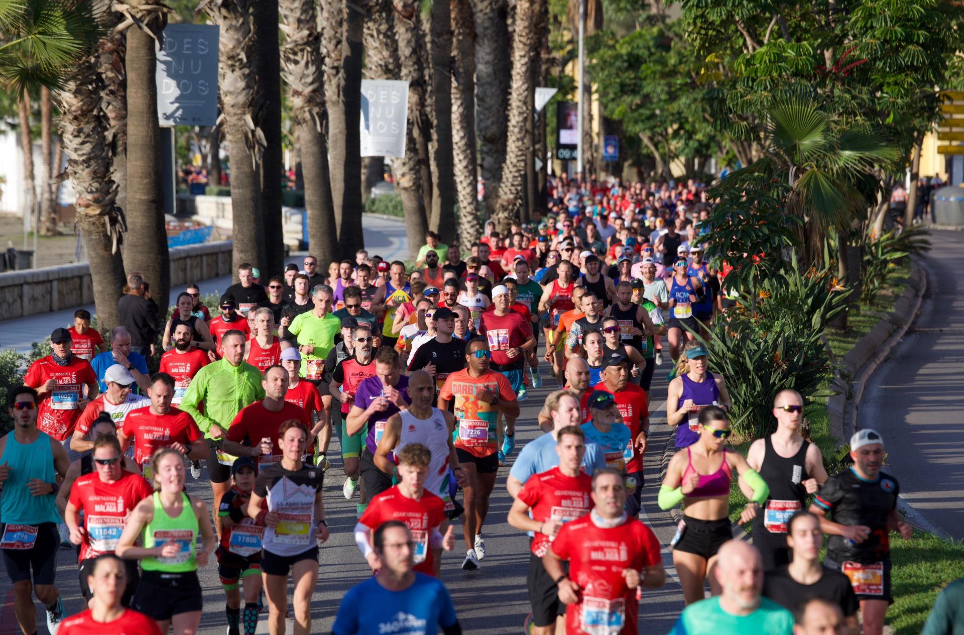 Las mejores imágenes del Generali Maratón de Málaga 2024