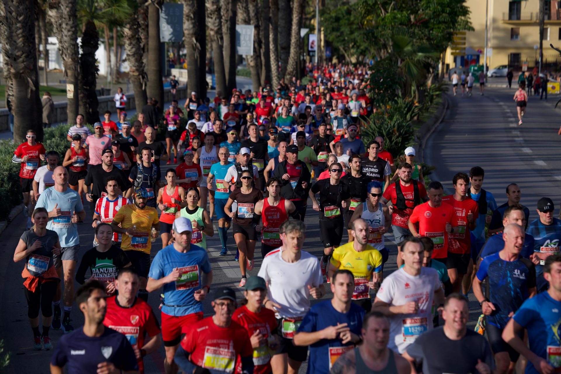 Las mejores imágenes del Generali Maratón de Málaga 2024