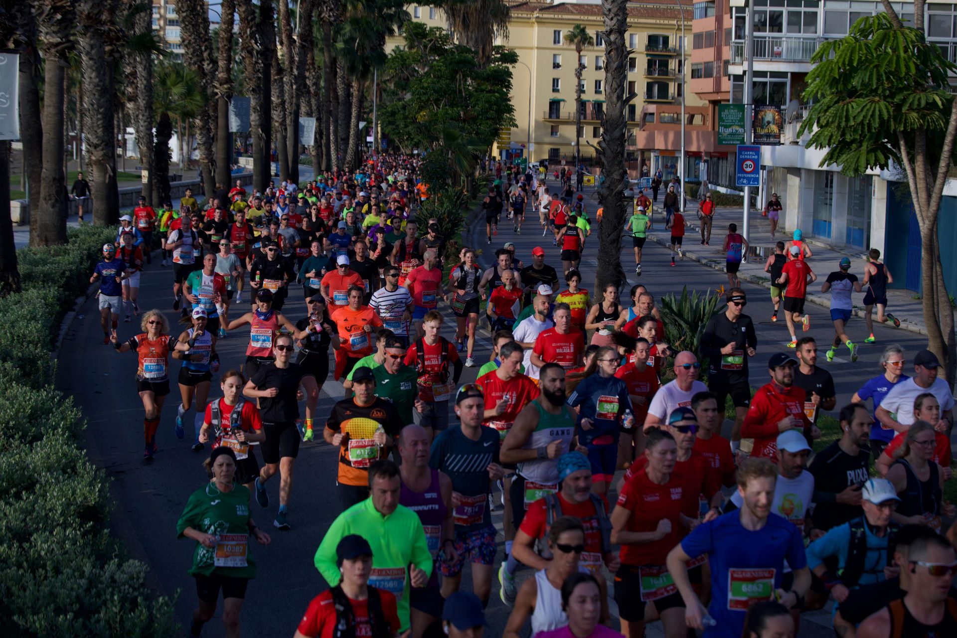 Las mejores imágenes del Generali Maratón de Málaga 2024