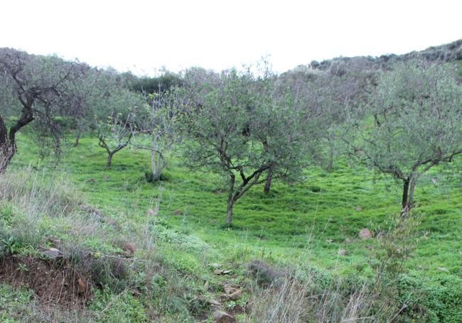 Lugar por donde se abandona el carril ancho