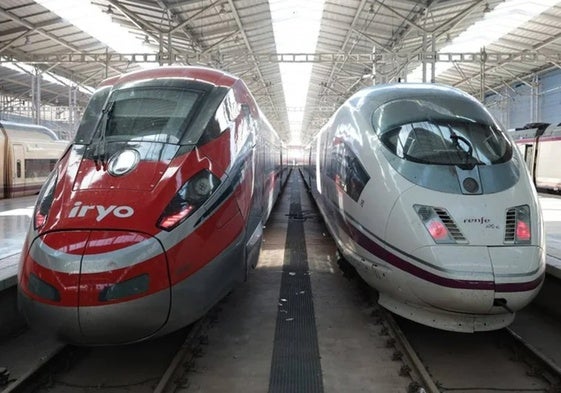 Trenes en la estación de María Zambrano.