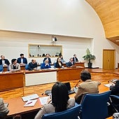 Sesión plenaria en el Ayuntamiento de Fuengirola.