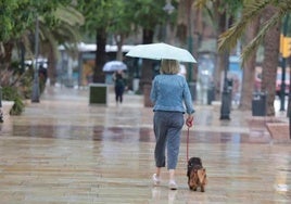 Los paraguas serán necesarios en la despedida de este año en Málaga.