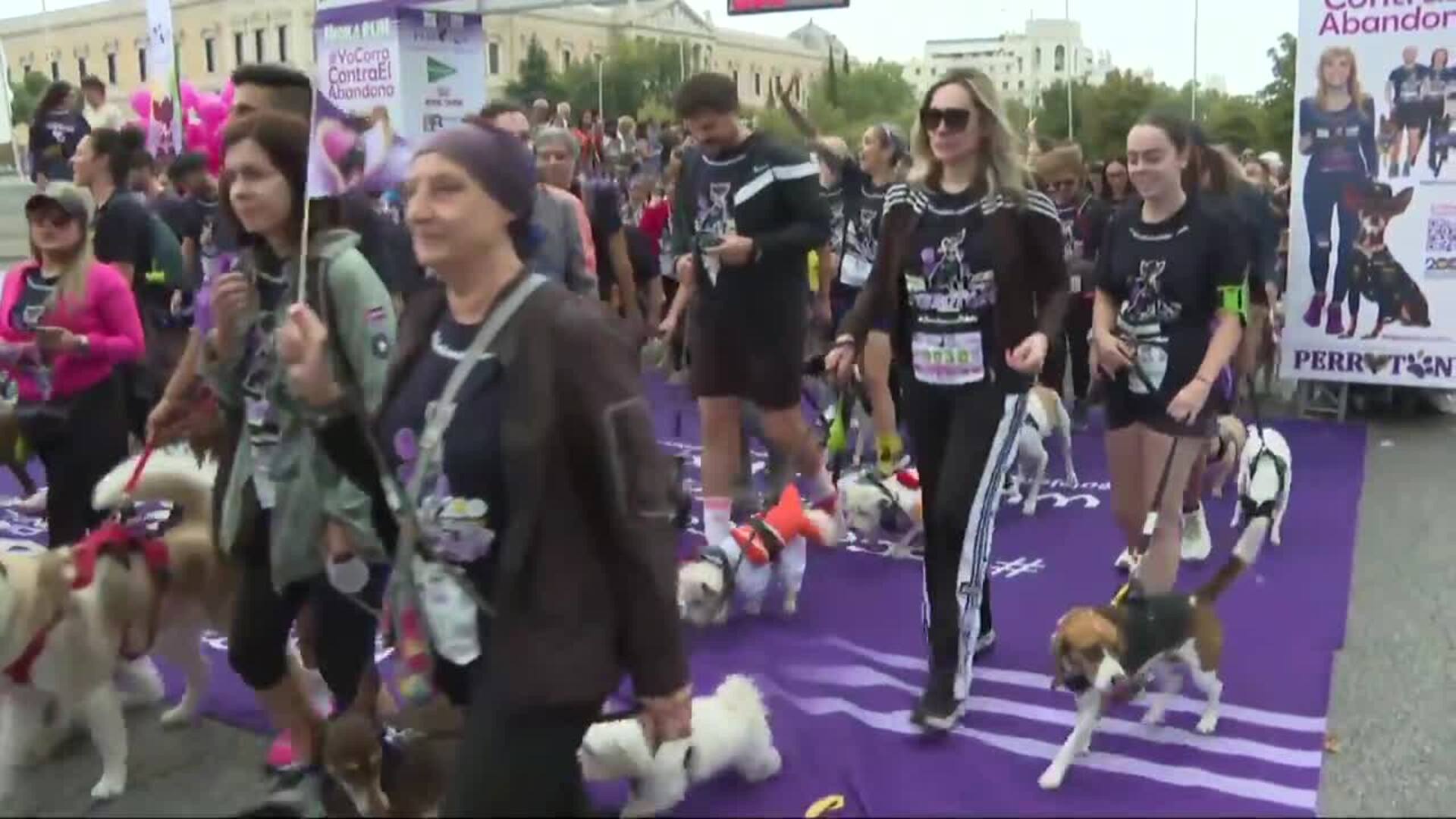 Multitud de personas participan en la XIII edición de Perrotón