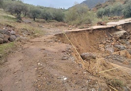 Uno de los caminos rurales, más de dos meses después de la primera DANA.