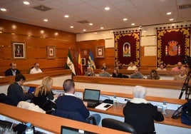 Pleno de la Corporación Municipal de Alhaurín de la Torre en la que se ha realizado el anuncio.