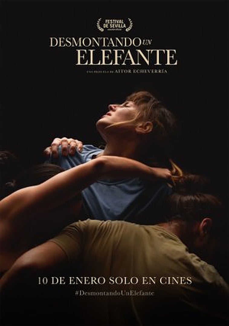 Desmontando un elefante: sinopsis, tráiler, reparto y todo lo que necesitas saber