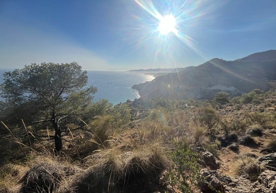 Imagen de los acantilados de Maro-Cerro Gordo en Nerja.