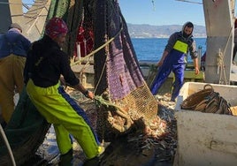 Pescadores en un barco de arrastre en la costa de Málaga.