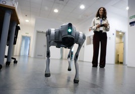 Delia Rico, investigadora en la UMA, maneja un perro-robot destinado a ayudar en emergencias.