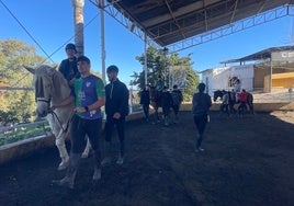 Una clase de equinoterapia inclusiva en Alhaurín de la Torre