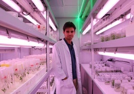 Jerónimo Coto, investigador en la UMA, con las muestras que utiliza en su investigación.