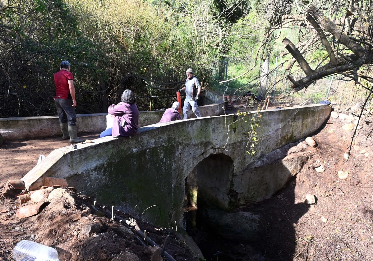 El puente del entorno del molino de Guadalpín estaba completamente camuflado por la vegetación.