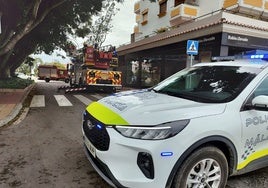 Intervención por la caída de una gran rama a causa del viento en Churriana.