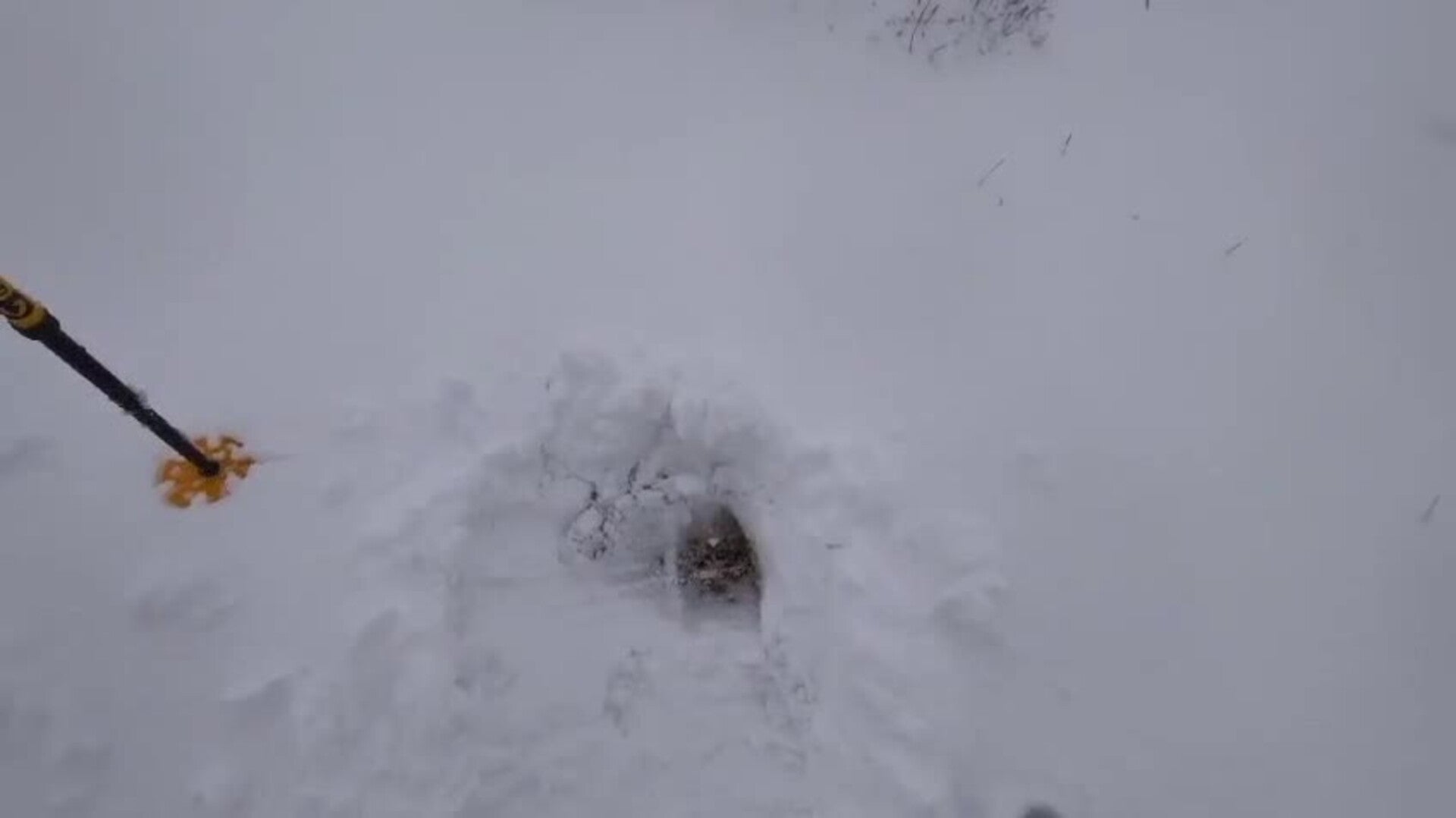 Las zonas más altas de la Sierra de las Nieves se tiñen de blanco