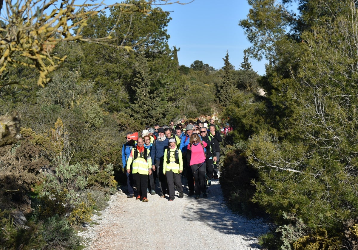 Participantes en el recorrido por la sierra alhaurina.