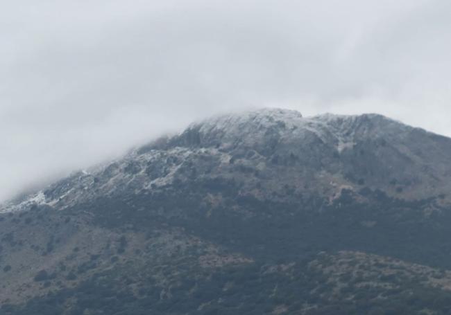 Nieve en la Sierra de Camarolos en Alfarnatejo.