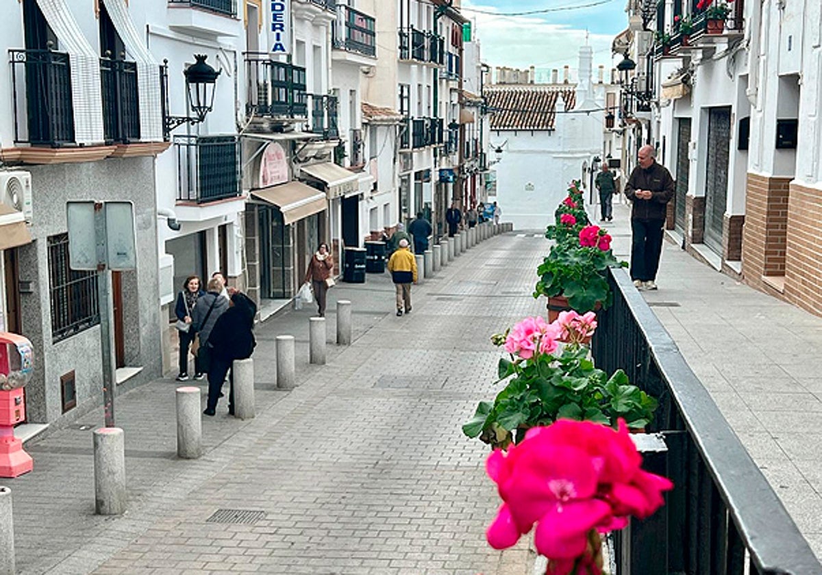 Algunas flores que el Ayuntamiento ha puesto en las calles de Álora.