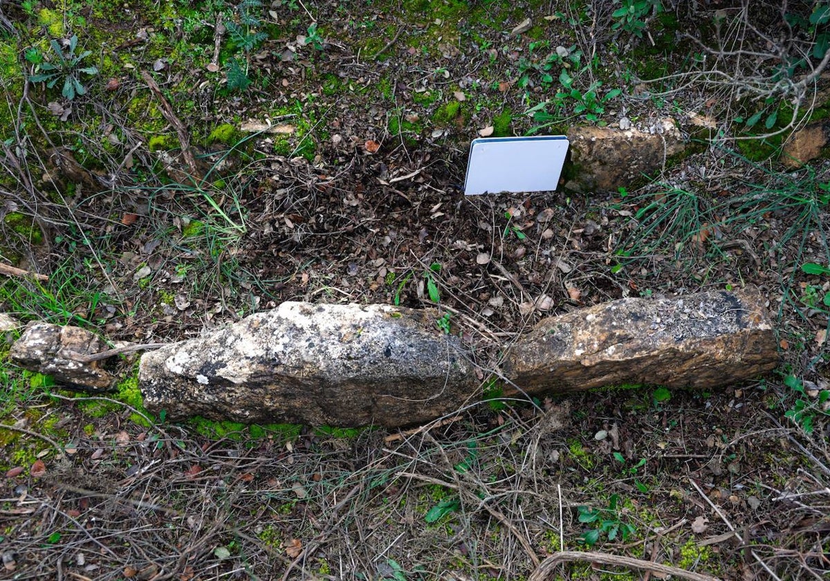 Pese a la maleza, las dos líneas paralelas de piedras marcan el estrecho espacio para un enterramiento.