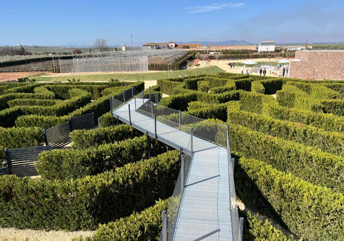 Presentación del 'Laberintus Park' , el mayor laberinto vegetal de España.