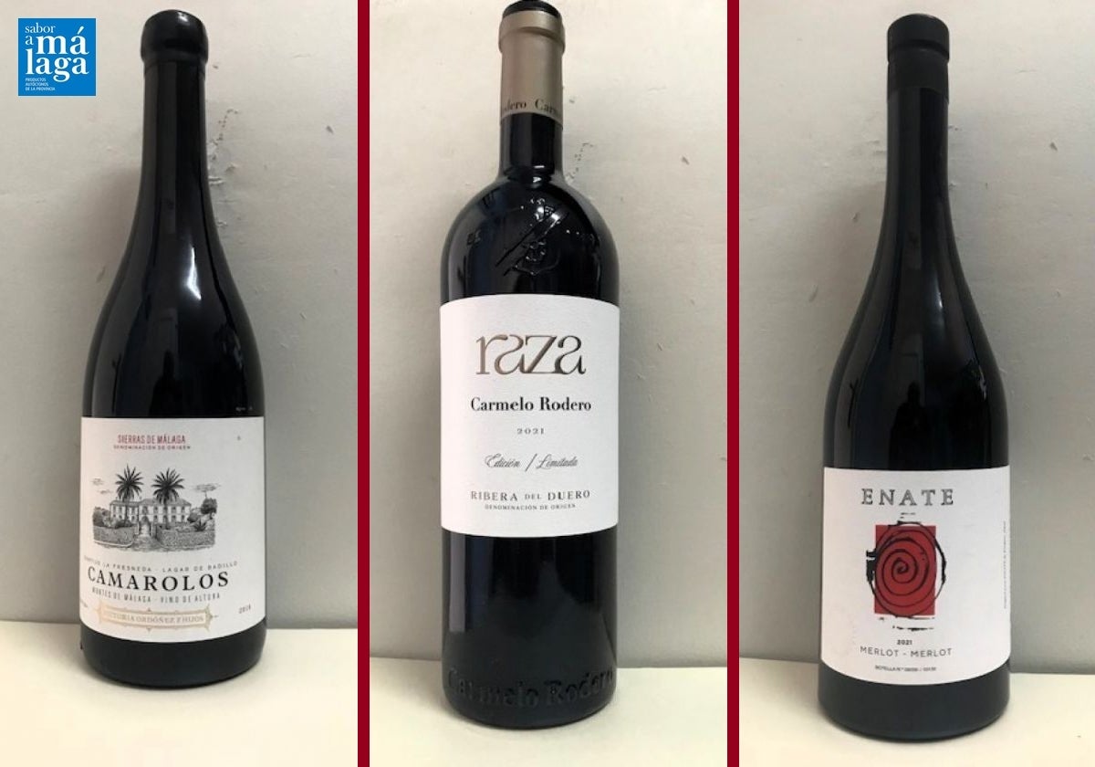 La cata | Los vinos destacados de la tercera semana de febrero