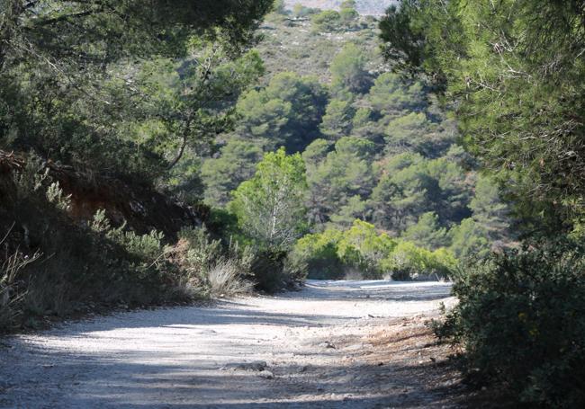 El regreso desde la Cañada del Lobo se hace por el mismo camino