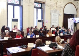 El consejo sectorial de la Mujer, con motivo del 8M, se celebró este miércoles en el salón de plenos del Ayuntamiento.