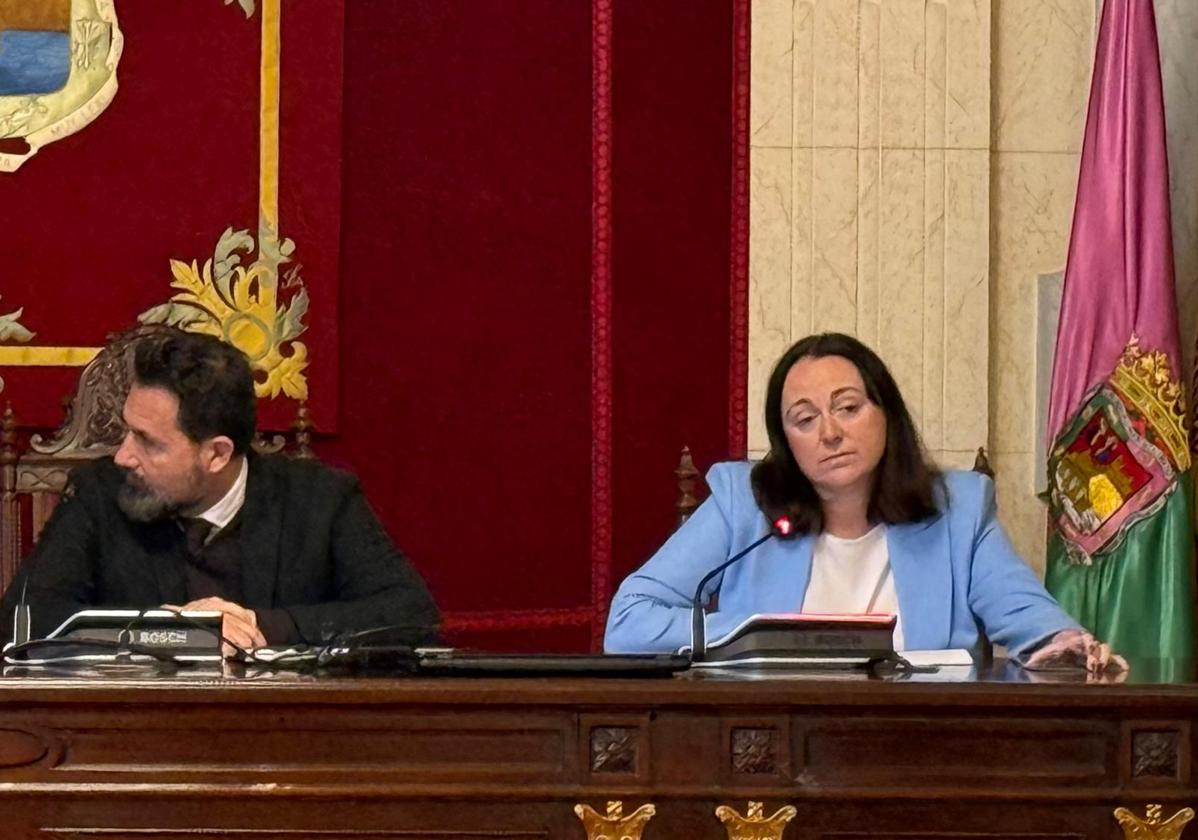 La concejala de Cultura, Mariana Pineda, durante una comparecencia la semana pasada en una comisión de pleno.