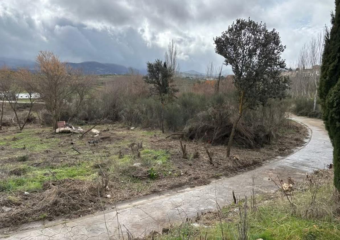 Imagen secundaria 1 - El parque de La Galia sale del abandono