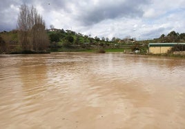 Los ríos Guadalevín y Turón se desbordan en Ronda y El Burgo por las fuertes lluvias