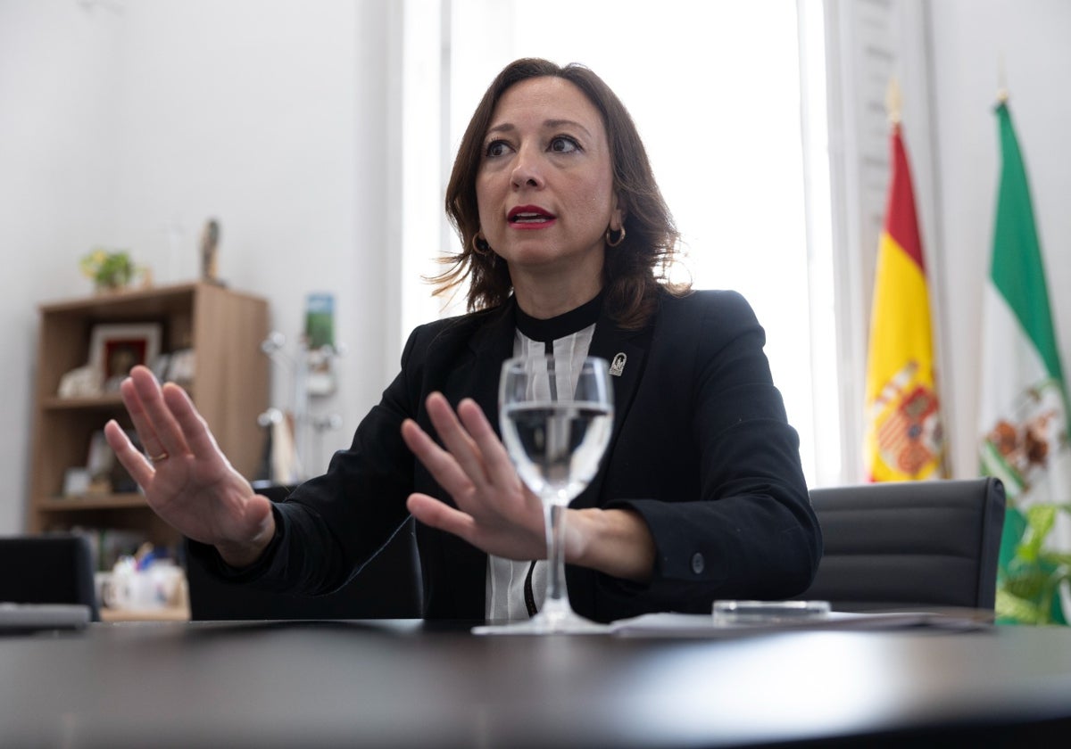 Navarro, en su despacho de la Delegación del Gobierno de la Junta.