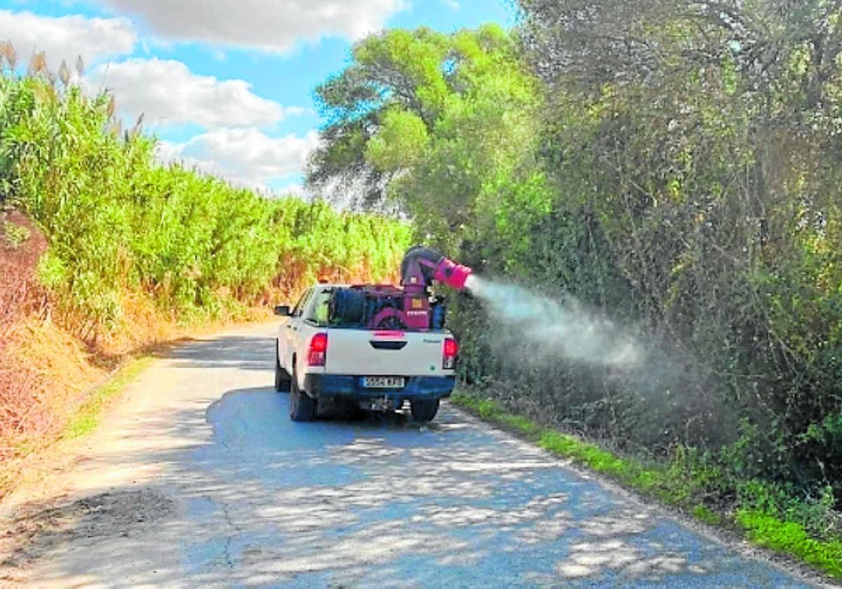 Tareas de fumigación contra el mosquito del Virus del Nilo.