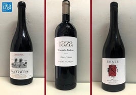 La cata: los vinos recomendados de la primera semana de marzo