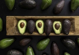 Aguacate, el oro verde de la Axarquía: recetas novedosas y propuestas de los cocineros de Málaga