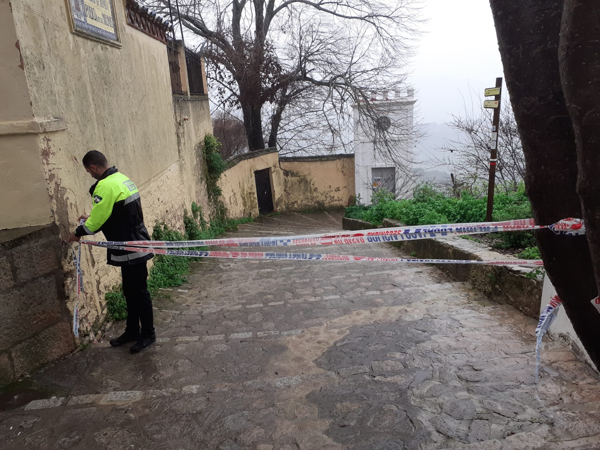 En Ronda, también se ha cortado al acceso al Camino del Desfiladero del Tajo por la caída de un árbol. 