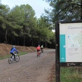 Lo que no hay que perderse en el parque natural de los Montes de Málaga