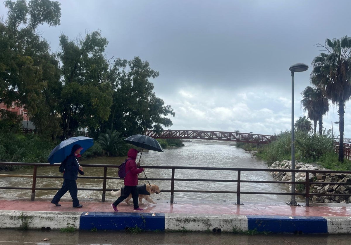 Nivel de agua que han alcanzado los arroyos estos días en Marbella.