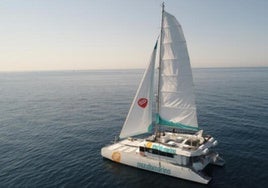 Paseo en catamarán: Disfruta de la experiencia por el litoral malagueño