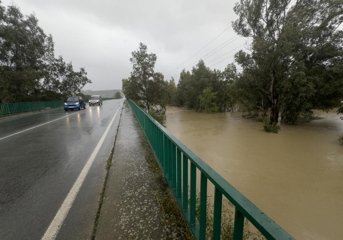 Desbordamiento del rio Guadiamar a su paso por Sanlúcar la Mayor, en Sevilla.