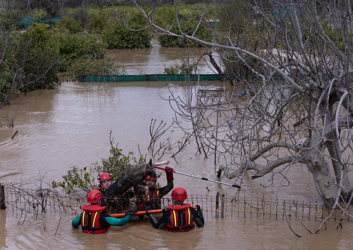 Imagen secundaria 1 - Vecinos de Doña Ana tras las fuertes lluvias.