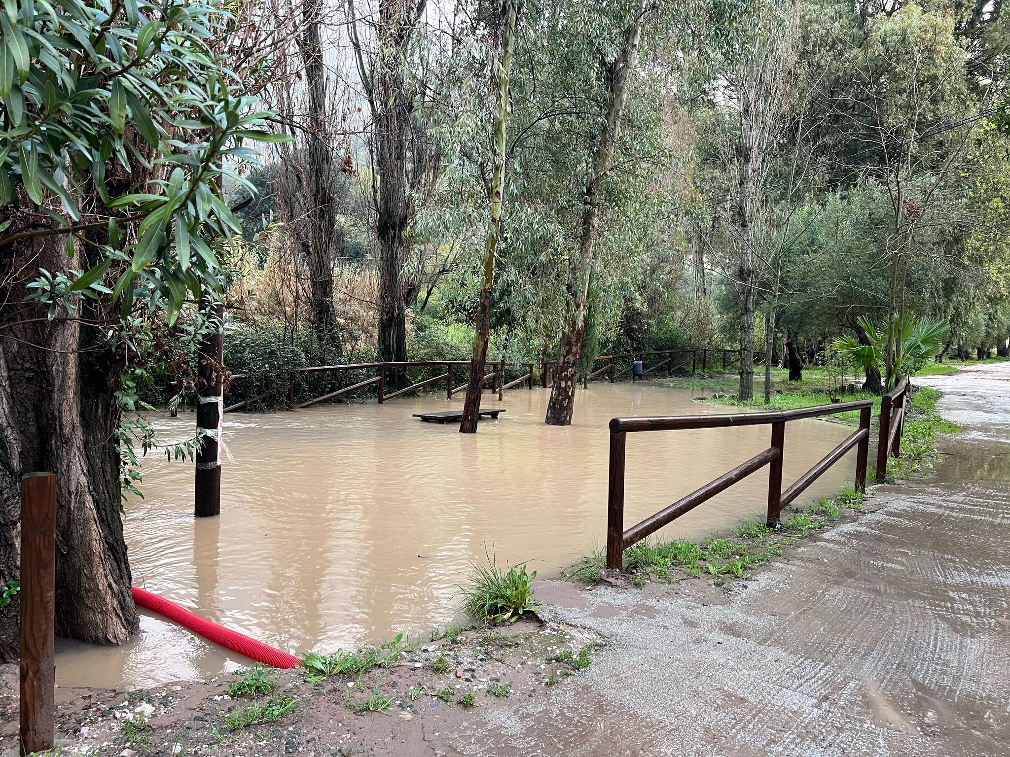 Río Guadiaro desbordado en La Estación de Jimera de Líbar