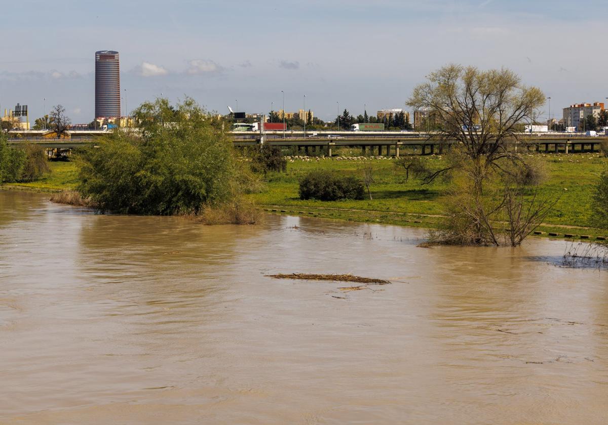 Dos fallecidos más por el temporal, que da una tregua y alivia los caudales