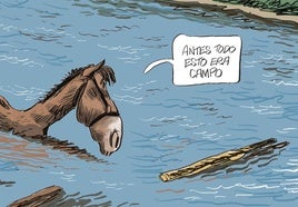 El mes de marzo, en las viñetas de Idígoras y Pachi