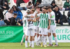 Los jugadores del Torremolinos celebran el gol de Fran Gallego.