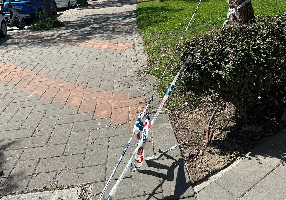 Hay que mirar al suelo en la calle Teseo si no te quieres caer