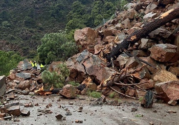 Imagen de los daños provocados por el desprendimiento de un talud sobre la carretera.