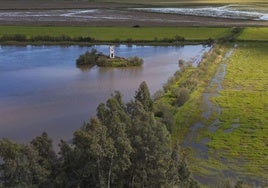 Marisma de Doñana inundada