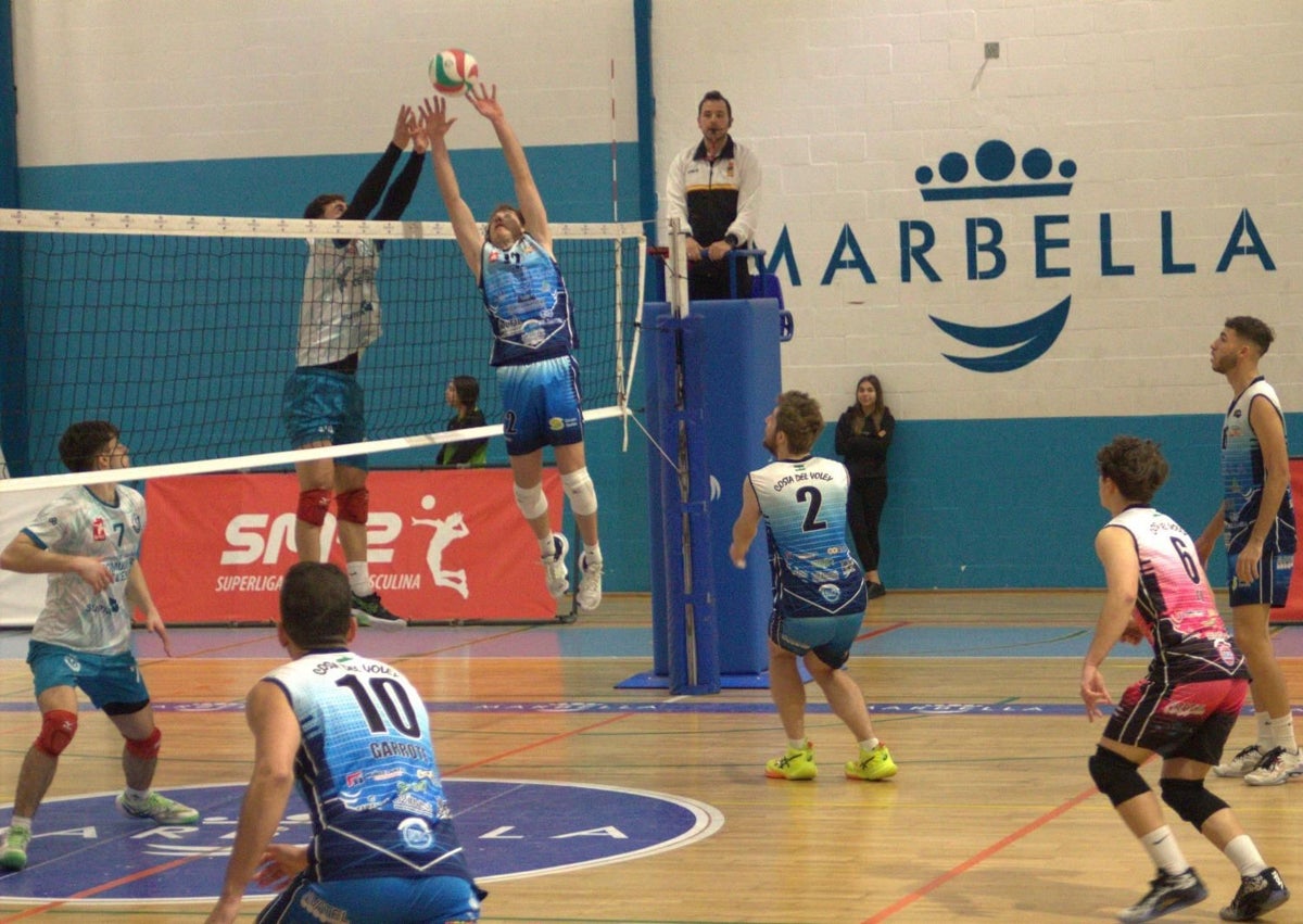 Imagen secundaria 1 - El Marbella Costa del Vóley cumple su meta y seguirá un año más en Superliga 2