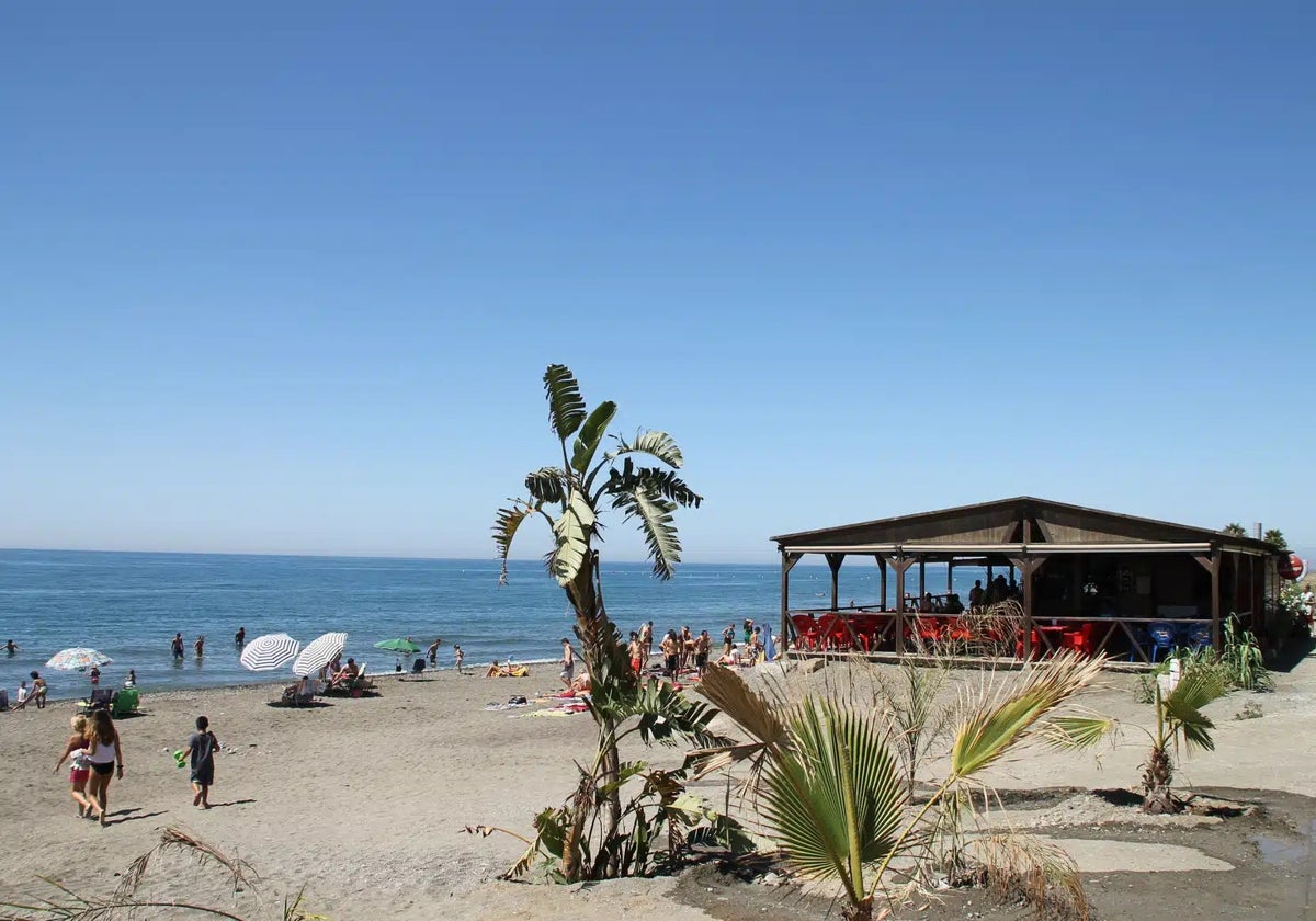 Propuesta de paseos por la naturaleza para disfrutar de la primavera en Rincón de la Victoria