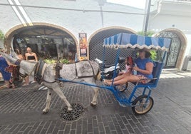 Turista montada en un burro taxi por las calles de Mijas Pueblo.